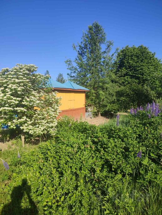 Дом 9.92 м² за 67 063 ₽ в СТ Дубок — фото 2