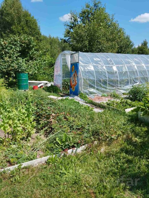 Дом 2-комн. 36 м² за 312 959 ₽ в Пуща — фото 3