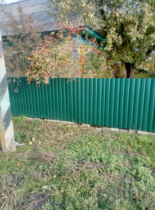 Дом 3-комн. 48 м² за 171 382 ₽ в Морочь — фото 2