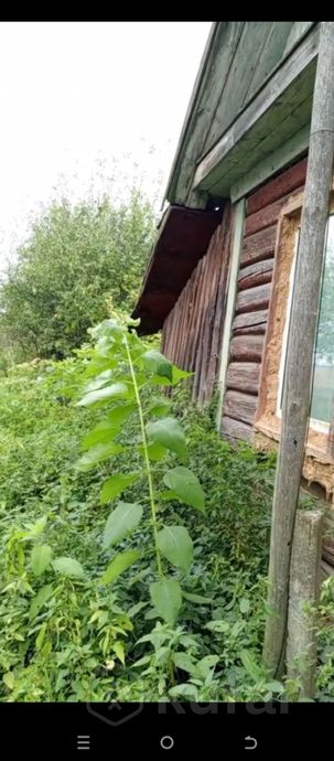 Дом 1-комн. 35 м² за 260 799 ₽ в Ветковский — фото 3