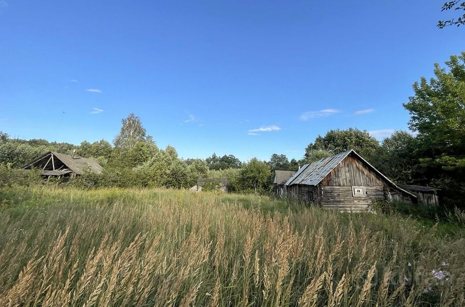 Дом 43.1 м² в Воропаево — фото 4