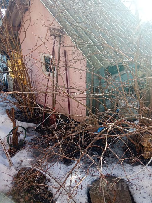 Дом 1-комн. 6 м² за 18 501 ₽ в Могилёв — фото 3