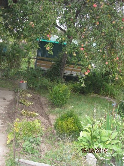 Дом 1-комн. 15 м² за 290 730 ₽ в Могилёв — фото 3