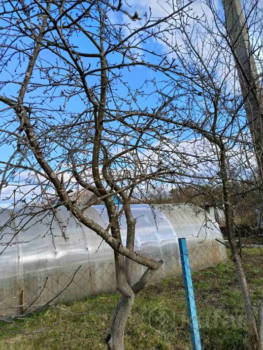 Дом 1 м² в Полоцкий — фото 5