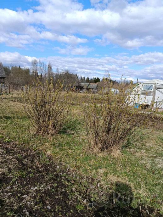 Дом 1 м² за 89 417 ₽ в Полоцкий — фото 3