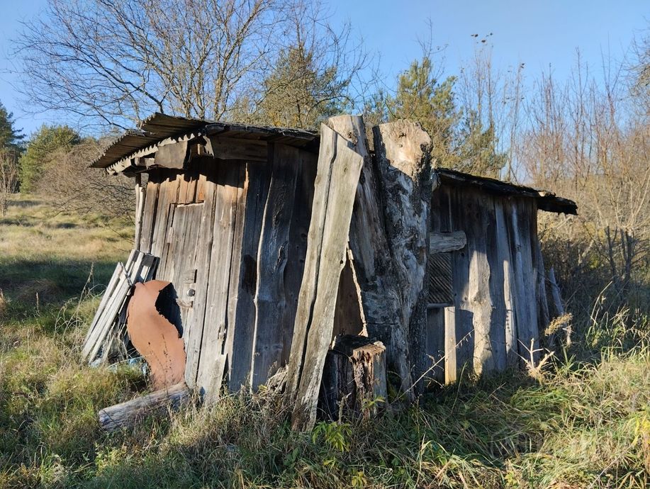 Дом 1-комн. 49 м² за 23 787 ₽ в Демидовичи — фото 3