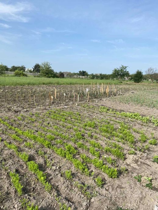 Дом 1000 м² за 156 480 ₽ в Лунинец — фото 3