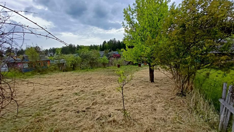 Дом 10 м² за 84 312 ₽ в Витебск — фото 2