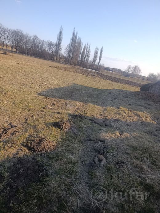 Дом 22233 м² за 208 639 ₽ в Барсуки — фото 2