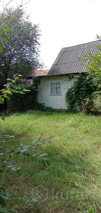 Дом 2-комн. 35.8 м² за 237 870 ₽ в Рудня Маримонова — фото 3