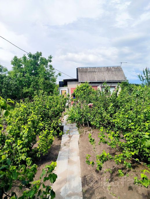 Дом 12 м² за 290 605 ₽ в Гомель — фото 2