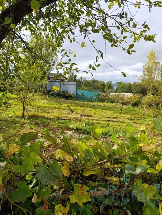 Дом 35 м² в Витебск — фото 2