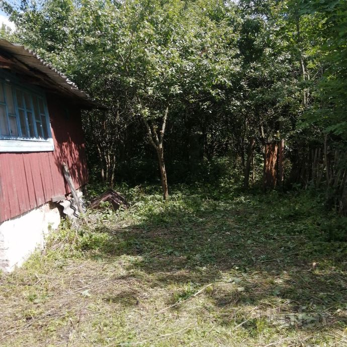 Дом 3-комн. 46.1 м² за 79 290 ₽ в Озгиновичи — фото 3