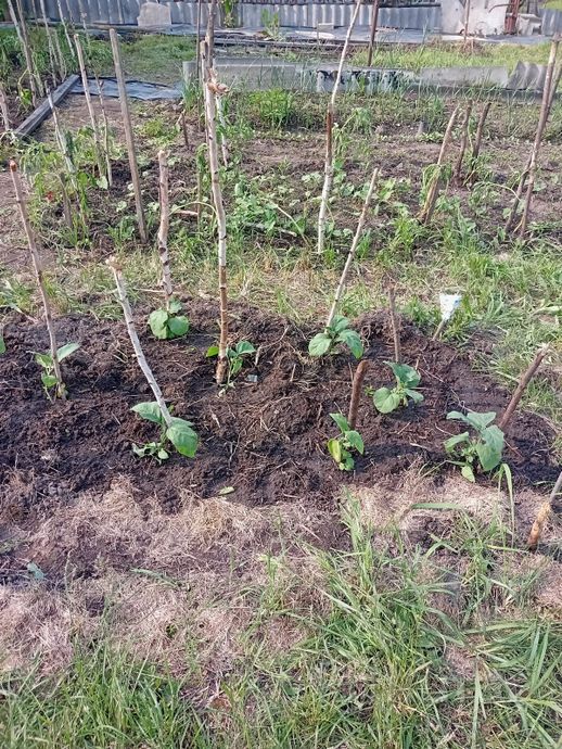 Дом 15 м² за 45 468 ₽ в Солигорский — фото 2