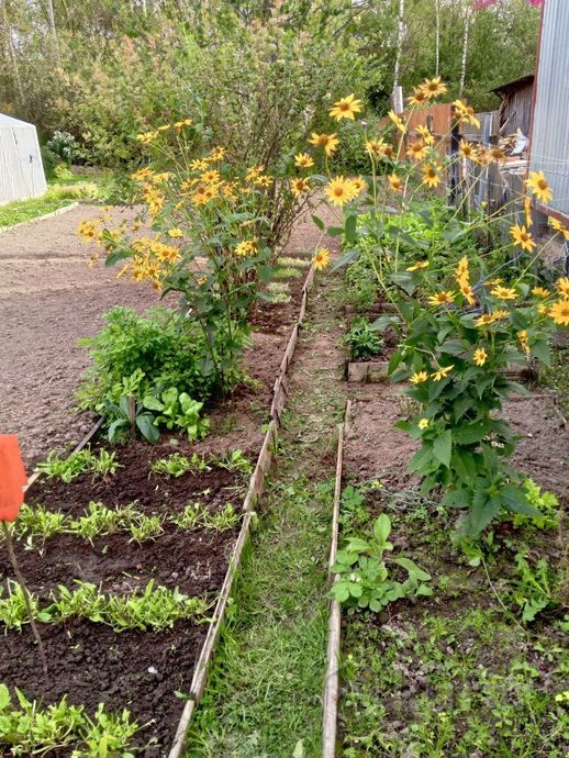 Дом 1-комн. 19.5 м² за 526 445 ₽ в Орша — фото 3