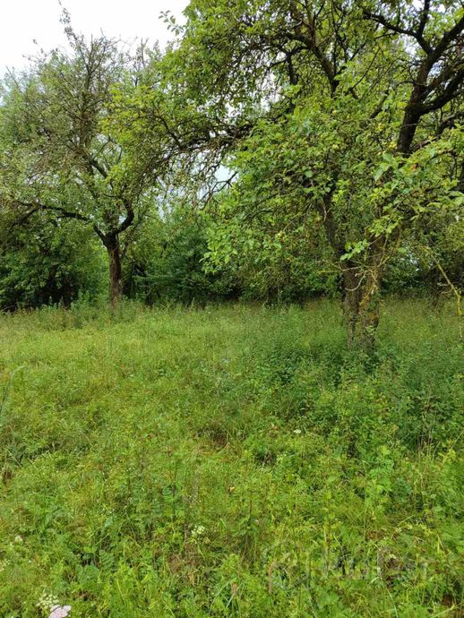 Дом 40 м² за 132 150 ₽ в Бельские — фото 2