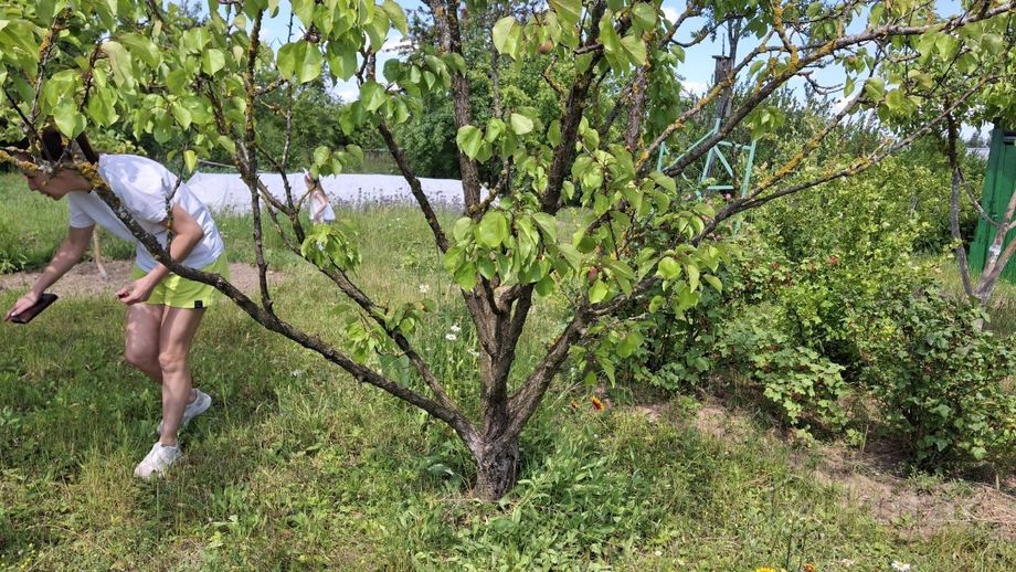 Дом 2-комн. 1170 м² за 558 856 ₽ в Гродненский — фото 3