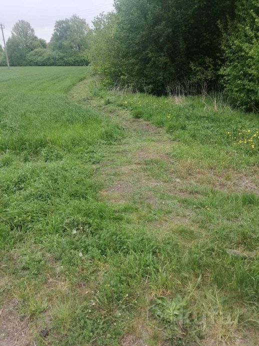 Дом 51.3 м² в Лидский — фото 4