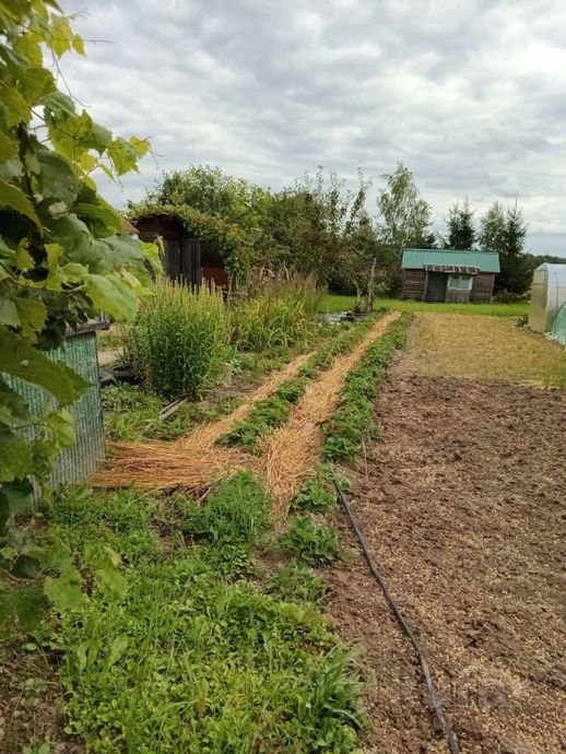 Дом 2-комн. 13 м² за 521 599 ₽ в Шклов — фото 3