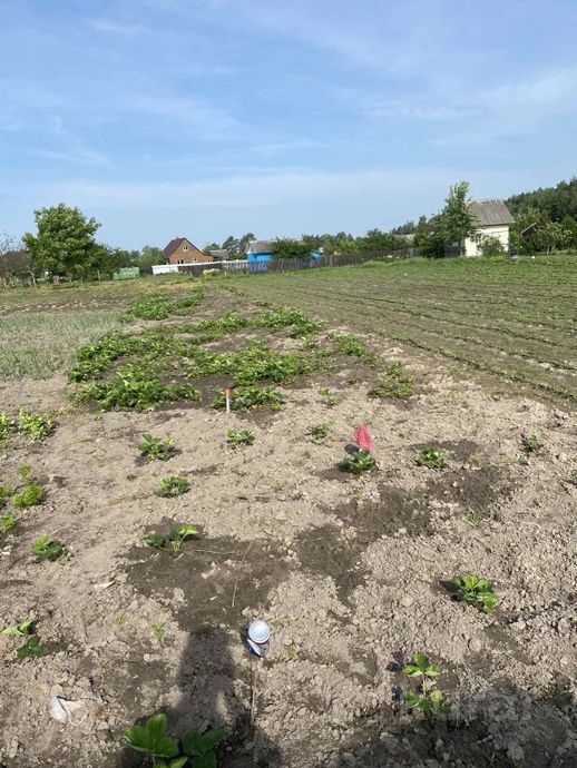 Дом 1000 м² за 156 480 ₽ в Лунинец — фото 1