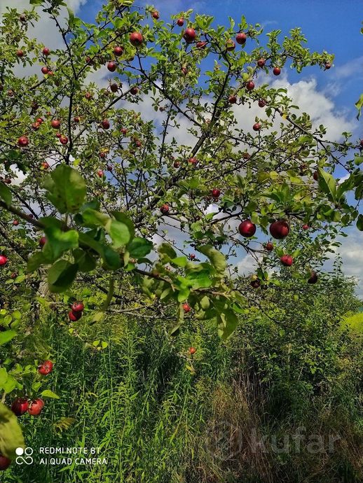 Дом 10 м² за 149 028 ₽ в Осиповичский — фото 2