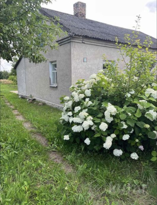 Дом 2-комн. 75 м² за 514 147 ₽ в Берёза — фото 2