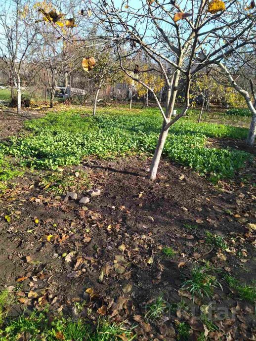 Дом 5.4 м² за 499 244 ₽ в Брест — фото 3