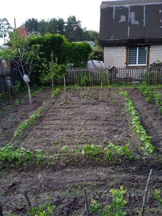 Дом 3-комн. 35 м² в Гомельский — фото 5