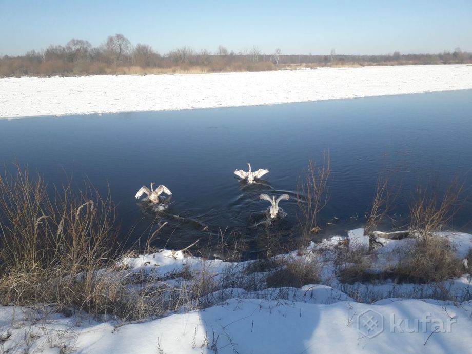 Дом 2-комн. 25 м² за 394 925 ₽ в Якимова Слобода — фото 2