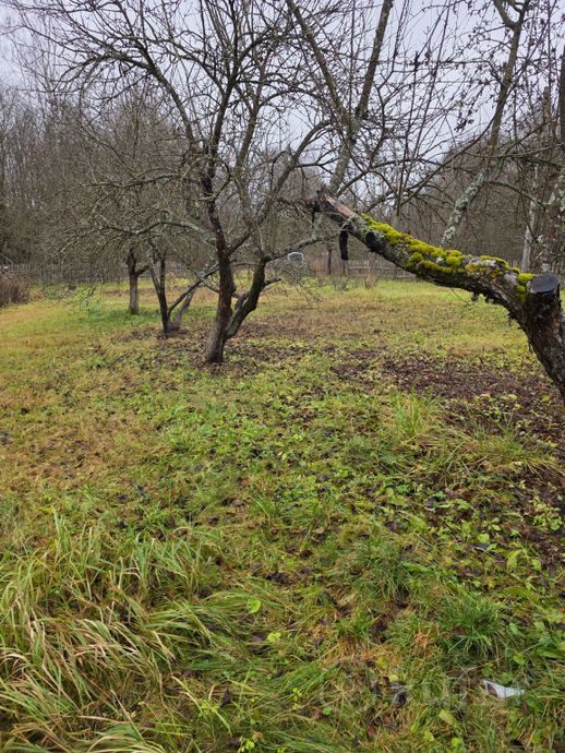 Дом 10 м² в Витебский — фото 4