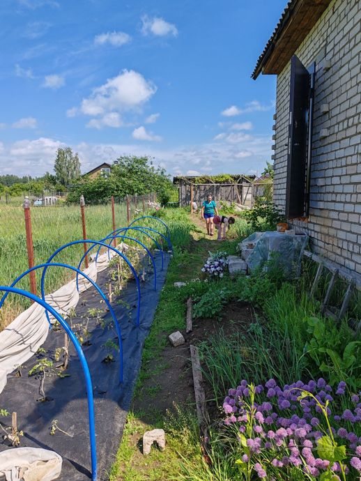 Дом 100 м² за 469 439 ₽ в Пуховичский — фото 3