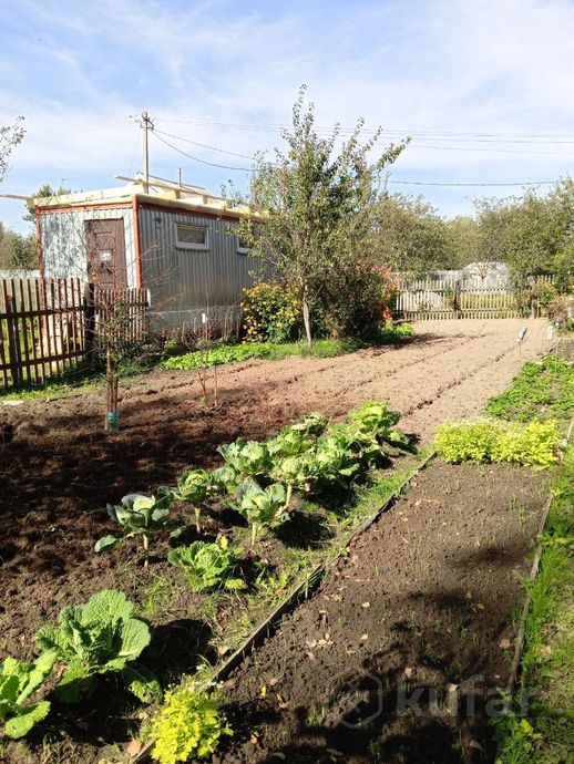 Дом 1-комн. 19.5 м² в Орша — фото 5