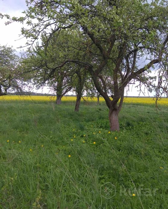 Дом 2-комн. 30 м² за 111 771 ₽ в Мишуты — фото 2