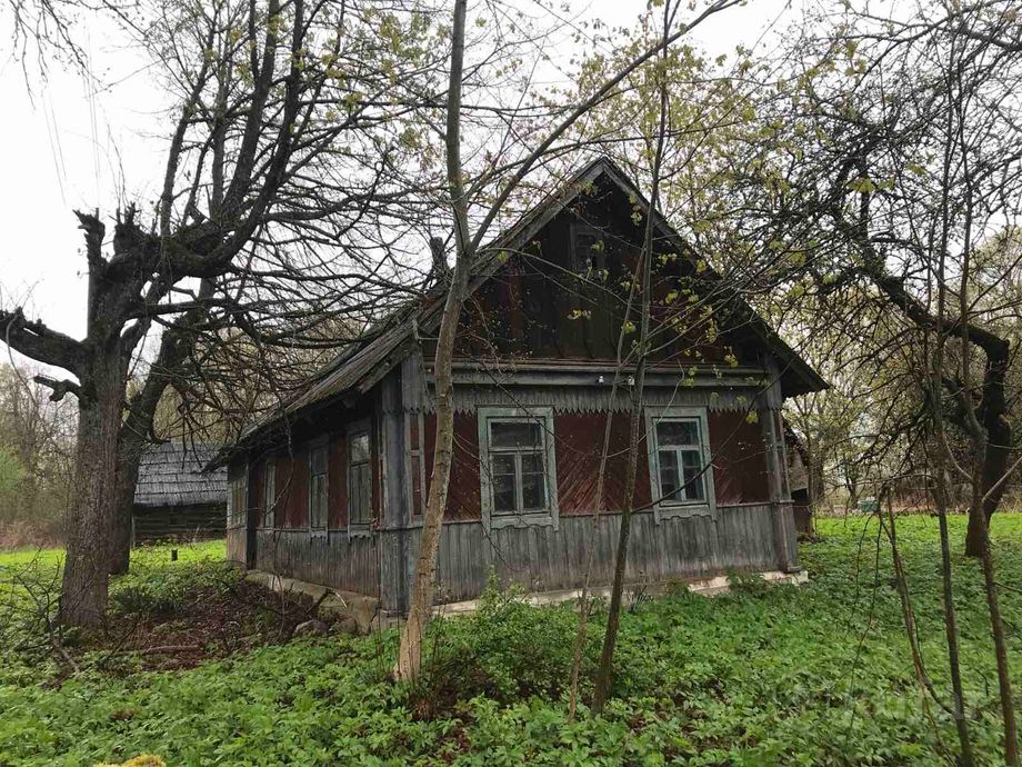 Дом 54 м² за 74 514 ₽ в Олешишки — фото 2