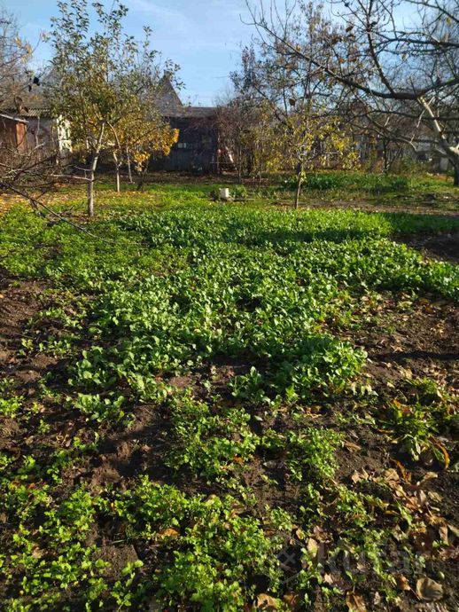 Дом 5.4 м² за 499 244 ₽ в Брест — фото 1