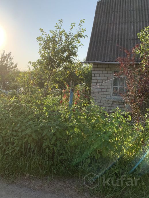 Дом 3-комн. 35 м² за 555 030 ₽ в Рогачёв — фото 3