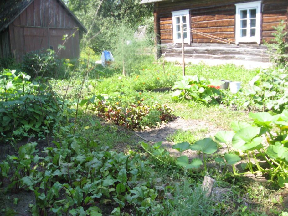 Дом 3-комн. 100 м² за 366 609 ₽ в Ясево — фото 1