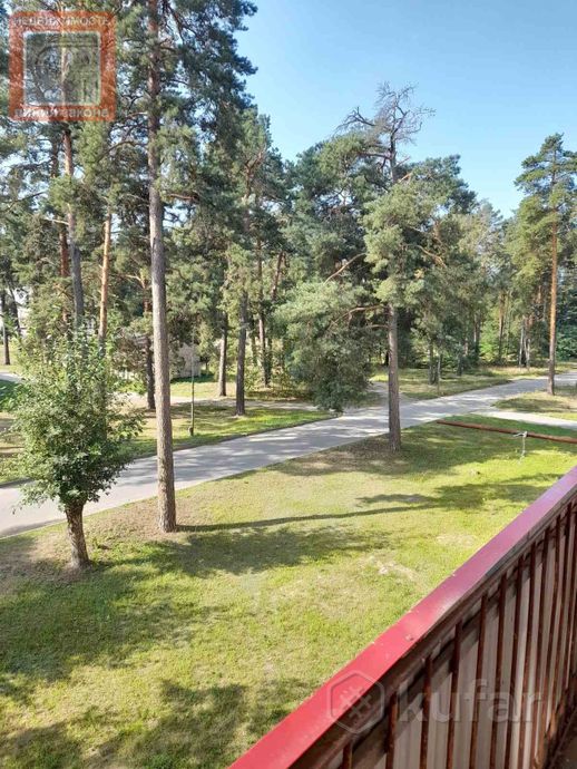 Квартира 1-комн. 32.1 м² за 707 884 ₽ в Житковичи — фото 3