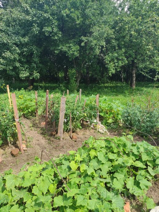 Дом 3-комн. 70 м² за 185 010 ₽ в Холмы — фото 2