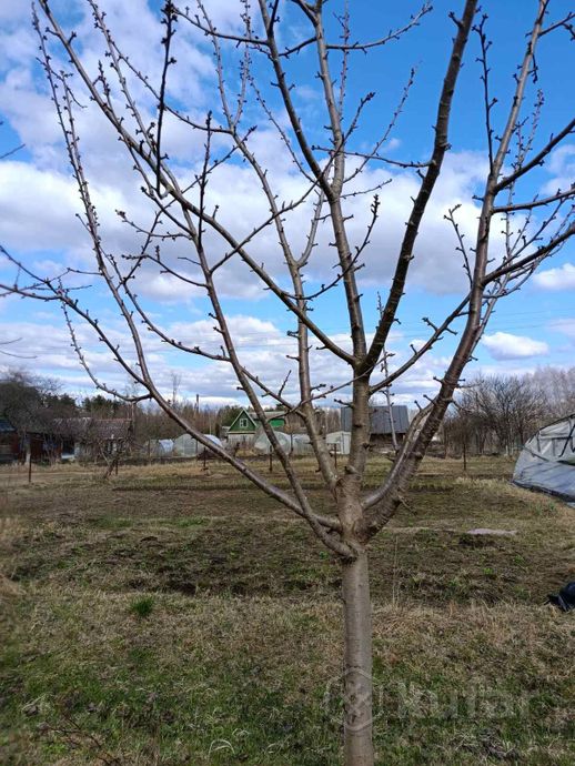 Дом 1 м² в Полоцкий — фото 4