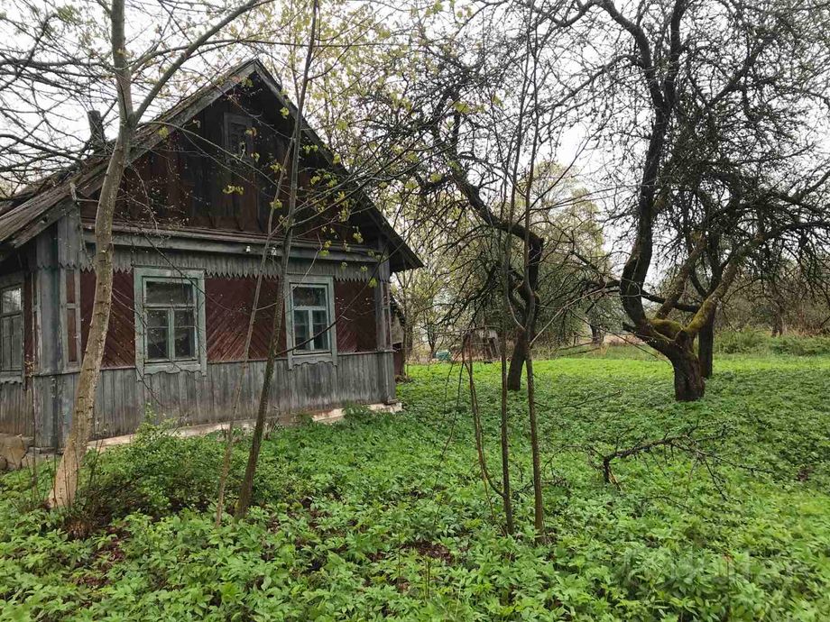 Дом 54 м² за 74 514 ₽ в Олешишки — фото 1