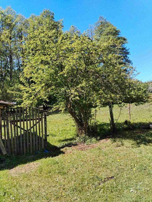 Дом 4-комн. 1000 м² за 782 398 ₽ в Василевичи — фото 2