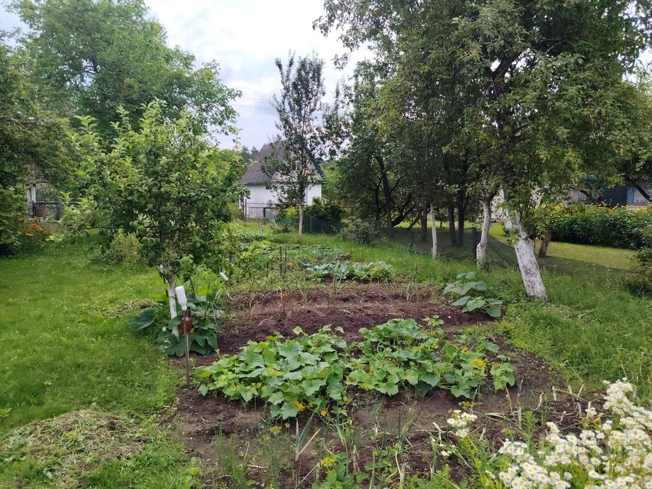 Дом 2-комн. 35 м² за 279 428 ₽ в Слоним — фото 3