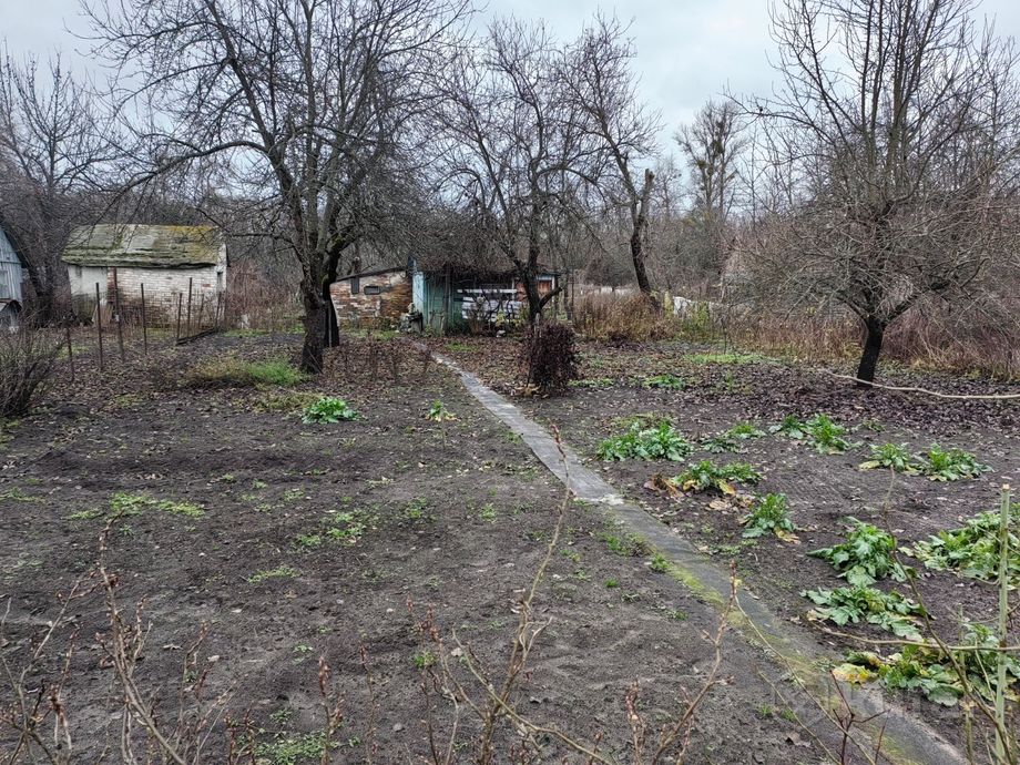 Дом 5 м² за 18 501 ₽ в Светлогорск — фото 2