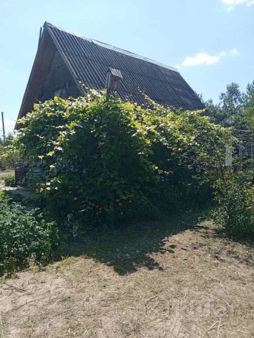 Дом 2-комн. 25 м² за 185 010 ₽ в Добрушский — фото 2