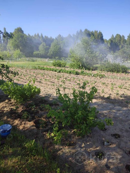 Дом 9.92 м² за 67 063 ₽ в СТ Дубок — фото 3