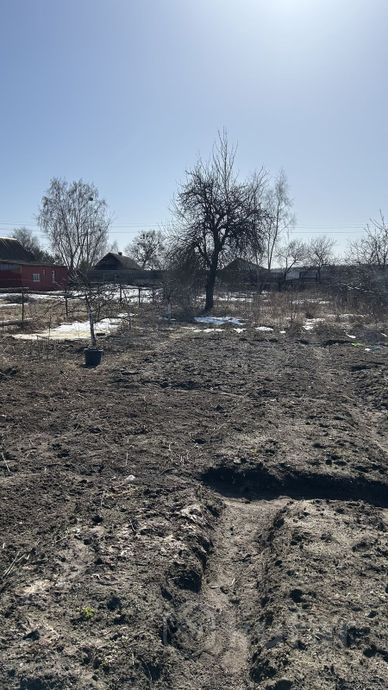 Дом 2-комн. 38.3 м² за 966 143 ₽ в Старая Рудня — фото 3