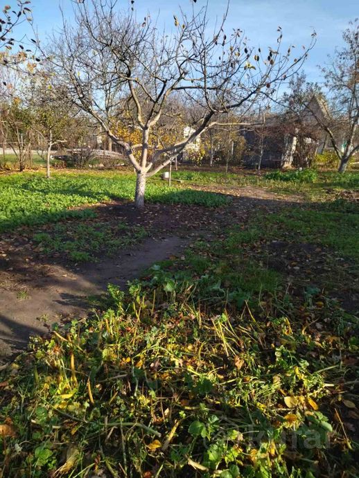 Дом 5.4 м² за 499 244 ₽ в Брест — фото 2