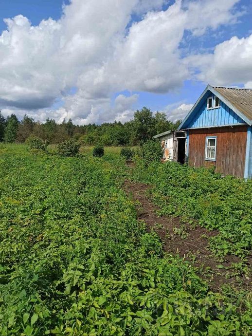 Дом 10 м² за 214 083 ₽ в Брюхово — фото 3