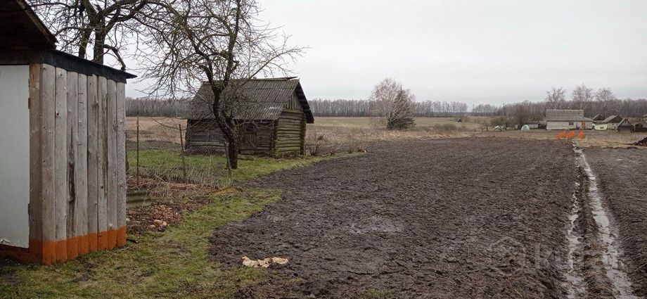 Дом 3-комн. 54 м² за 163 931 ₽ в Паршино — фото 3